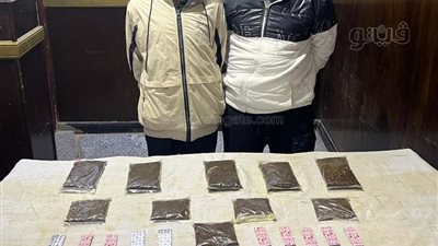 ضبط 5 عاطلين لترويجهم المخدرات في القليوبية