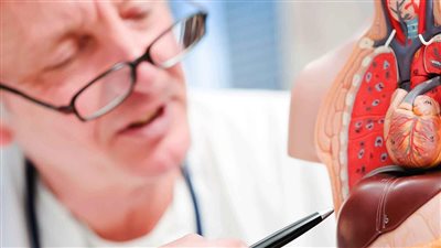 أكلات ممنوعة لمريض الكبد في إفطار رمضان (فيديو)