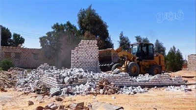 حملات لإزالة التعديات على الأراضي الزراعية وأملاك الدولة بأسوان (صور)