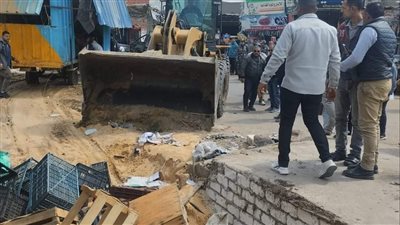 استرداد 22 فدانا خلال الموجة 22 لإزالة التعديات في الإسماعيلية(صور) 