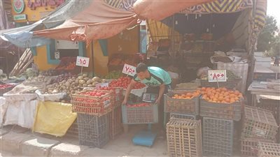 طرح 9 أطنان طماطم وبطاطس بـ 5 جنيهات للكيلو بالمنافذ التابعة لمركز الخارجة