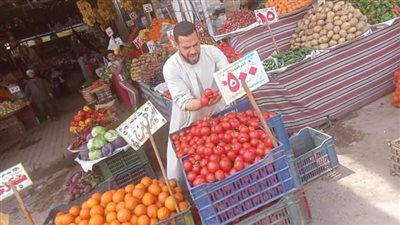 طرح 9 أطنان طماطم بأسعار مخفضة في الوادي الجديد 