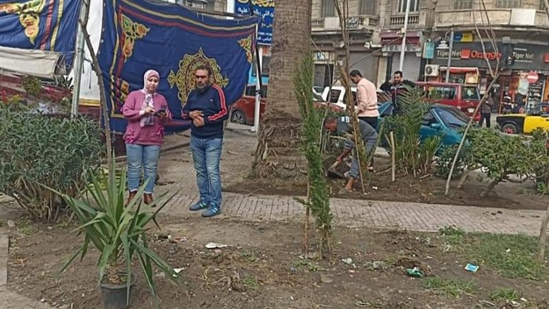 الإسكندرية، فيتو