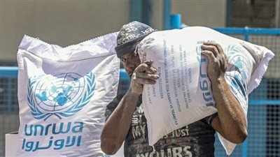 للمرة الأولى منذ العدوان الإسرائيلي، شاحنات محملة بالطحين تتجه إلى شمال غزة