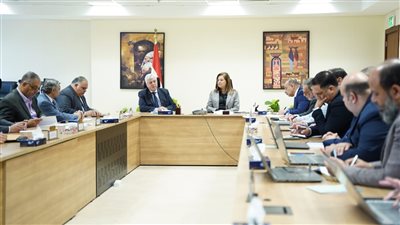 أيمن عاشور وهالة السعيد يناقشان الخطة الاستثمارية للتعليم العالي 