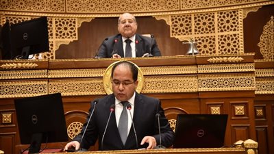 إشادة في الشيوخ بجهود وزارة النقل ومطالب بالاهتمام بالأسطول البحري