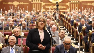 وكيل مجلس الشيوخ: الأسطول التجاري المصري لم يواكب تطوير الموانئ