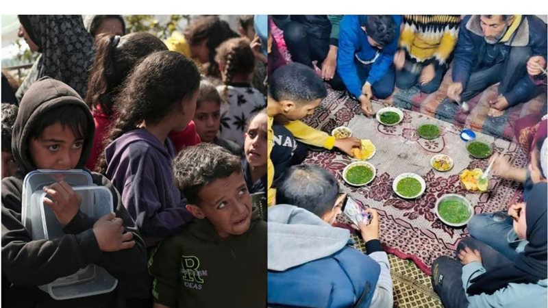 غزة، فيتو