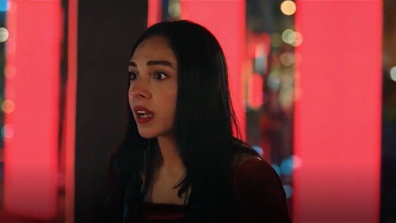 سلمى أبو ضيف، فيتو