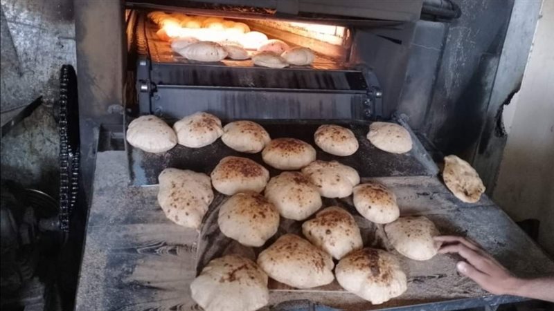 جهود مديرية تموين