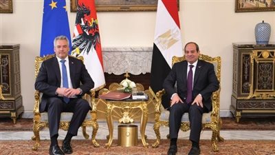 السيسي يؤكد لمستشار النمسا أهمية تنفيذ حل الدولتين لضمان استعادة الأمن والاستقرار بالإقليم