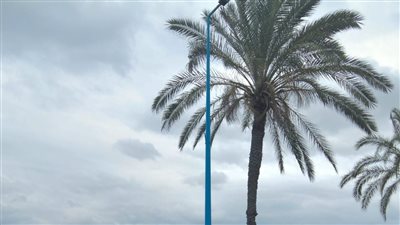 أحوال جوية غير مستقرة مصحوبة برياح وأتربة في الإسكندرية (صور) 