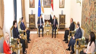 مصر وقبرص تبحثان سبل إنهاء المعاناة الإنسانية والمجاعة في قطاع غزة
