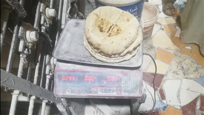 التحفظ على 3 أطنان ملح في حملات على المنافذ والأسواق بالدقهلية