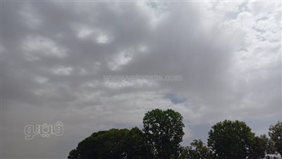 الشتاء رجع تاني، سماء ملبدة بالغيوم وتوقعات بسقوط أمطار في الأقصر (بث مباشر)