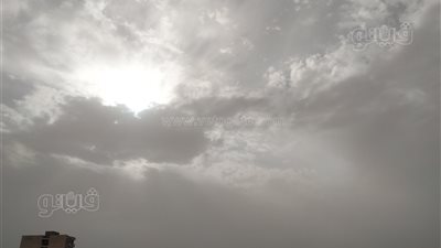 عواصف ترابية تضرب الوادى الجديد وتعيق الرؤية على الطرق السريعة (فيديو)