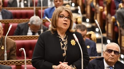 وكيل الشيوخ: نحتاج منظومة متكاملة للتعامل مع الطلاب المصريين بالخارج