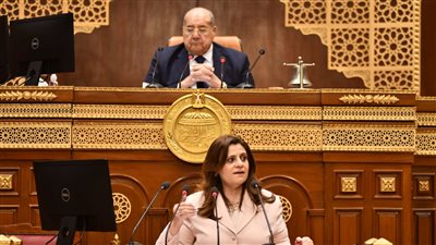 الشيوخ يحيل طلب مناقشة بشأن الاستفادة من المصريين بالخارج للجان المختصة