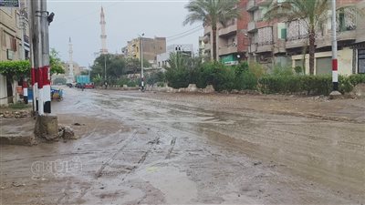 الشتا راجع بقوة، أمطار غزيرة وتقلبات جوية بالدقهلية (فيديو وصور)