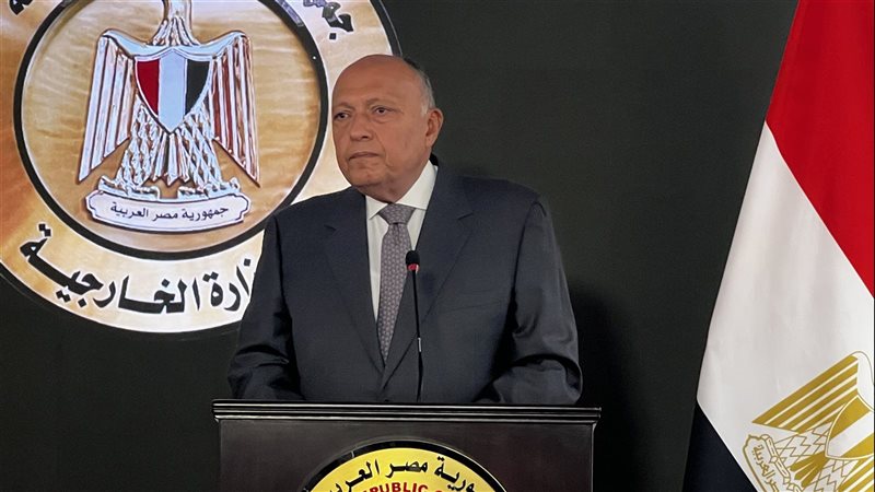 سامح شكرى وزير الخارجية،