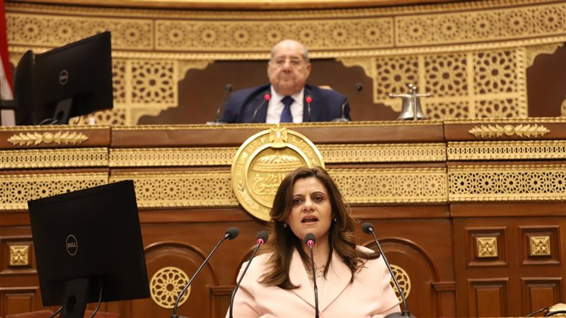 وزيرة الهجرة أمام