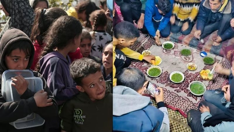 المجاعة في غزة، فيتو