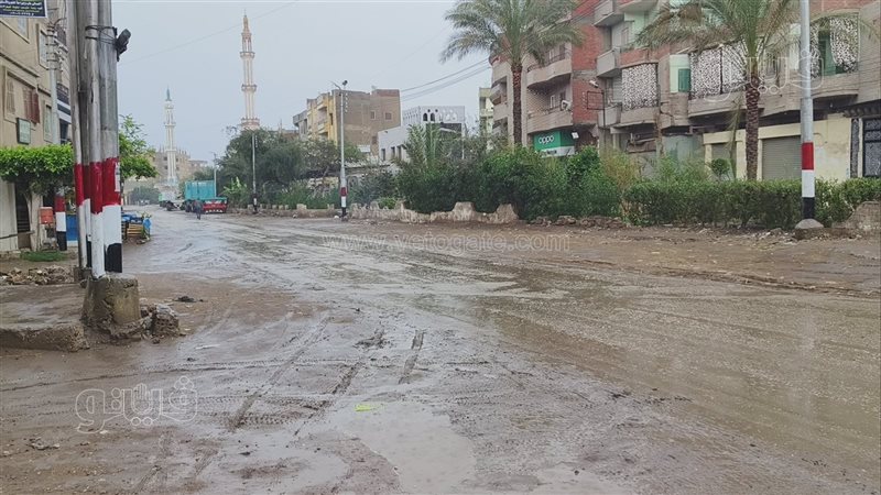 طقس الدقهلية، فيتو