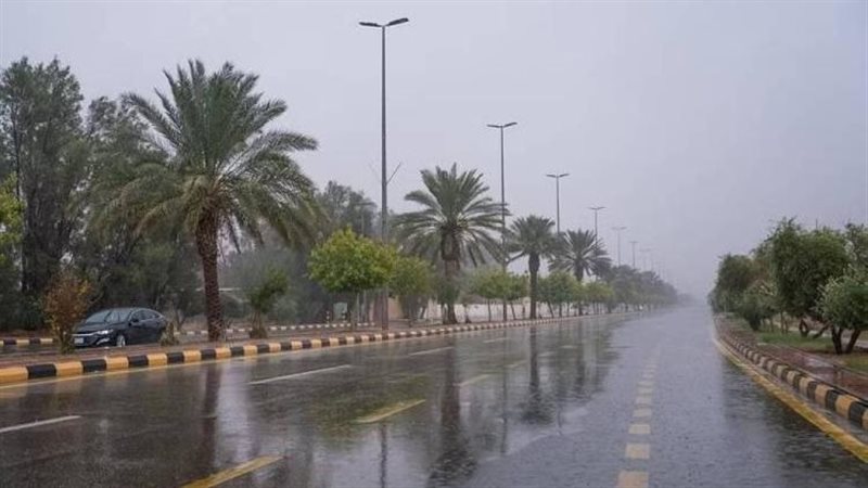 حالة الطقس،فيتو 