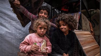الأمم المتحدة: أكثر من 1.1 مليون شخص في غزة يواجهون مستوى شديدًا من انعدام الأمن الغذائي