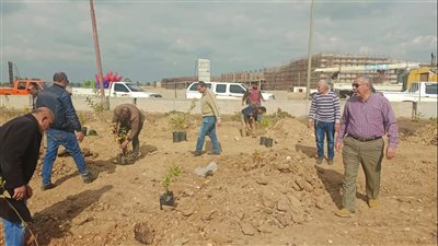حملة مكبرة لإزالة التعديات بطريق رافد جمصة في الدقهلية 