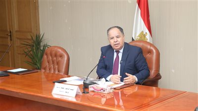 وزير المالية: تدفقات النقد الأجنبي المتوقعة تتجاوز 20 مليار دولار