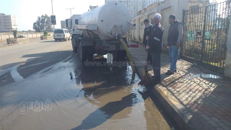 حملات نظافة،فيتو