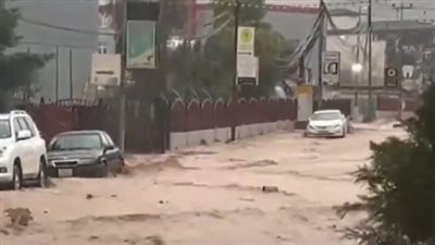  غضب الطبيعة، السيول تجتاح العراق وتجرف الناس (فيديو)