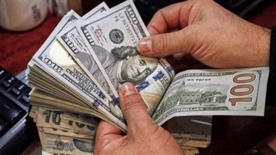 هل تعود السوق السوداء للدولار مرة أخرى؟.. خبير اقتصادي يكشف حالة واحدة