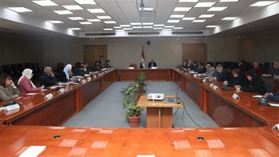 وزير المالية يكشف عن المسار الاقتصادي المصري خلال الفترة المقبلة.. تدفقات النقد الأجنبي المتوقعة تتجاوز 20 مليار دولار.. ونواجه التحديات بإصلاحات جريئة لاستعادة الاستقرار