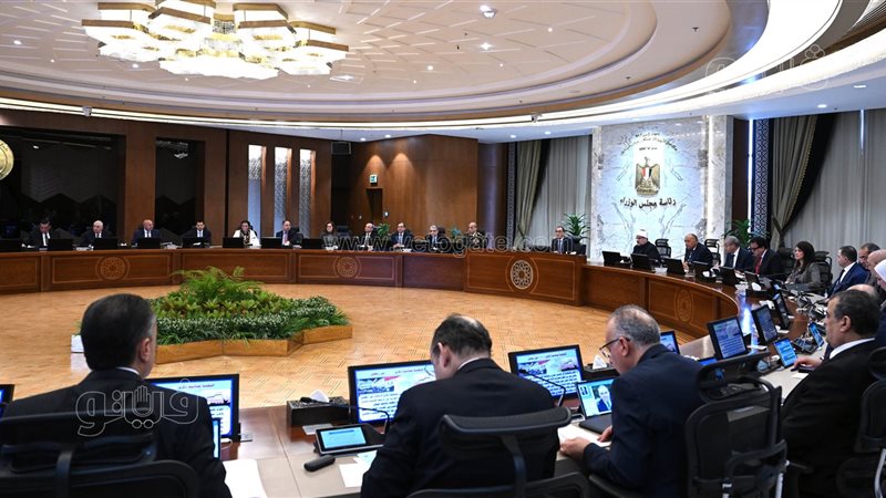 ضوابط عرض الحكومة