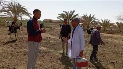 ندوات إرشادية ضمن فعاليات الحملة القومية لتحصين الماشية بالوادي الجديد 