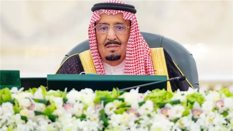 الملك سلمان، فيتو