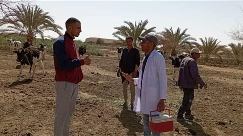 حملات إرشادية خلال