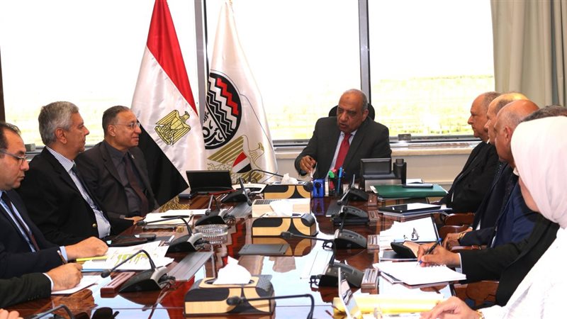 المهندس محمود عصمت