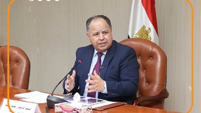 وزير المالية يستعرض جهود هيكلة الأجور خلال الـ6 سنوات (إنفوجراف)