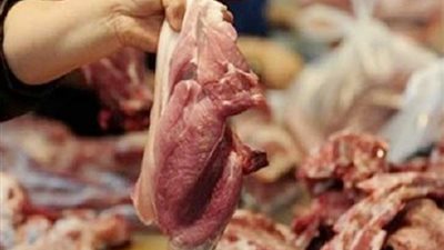 ضبط 6 آلاف و754 كجم من الدواجن والأسماك غير صالح للاستهلاك بالجيزة 