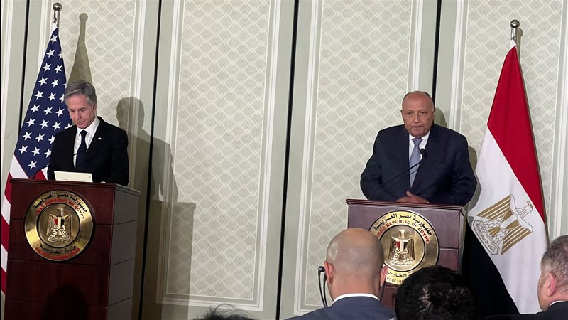 سامح شكرى وزير الخارجية