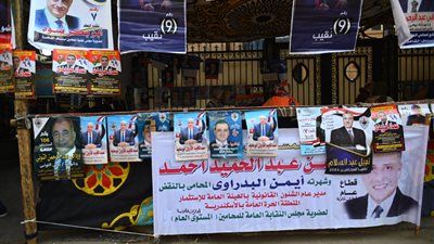 انتخابات المحامين في المنيا، 15 لجنة فرعية تفتح أبوابها أمام 9865 عضوا