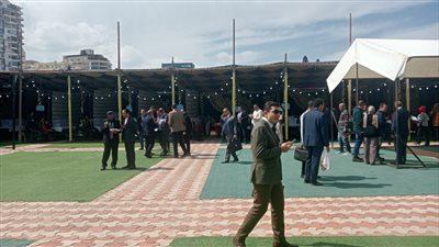 44 لجنة انتخابية تستقبل المحامين للإدلاء بأصواتهم في الإسكندرية (صور)