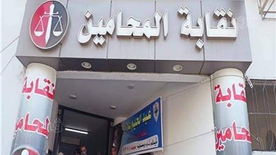 انتخابات المحامين في المنيا، إقبال متوسط على لجان الاقتراع في عروس الصعيد (صور)