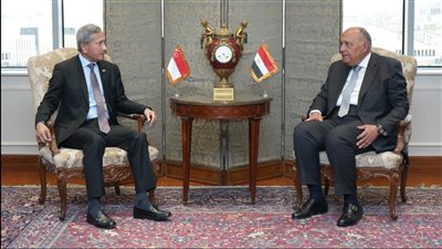 وزير الخارجية يبحث مع نظيره السنغافوري تعزيز التبادل التجاري والاستثمارات