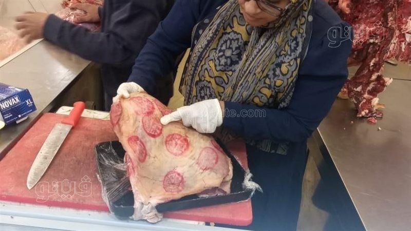 ضبط لحوم فاسدة فى