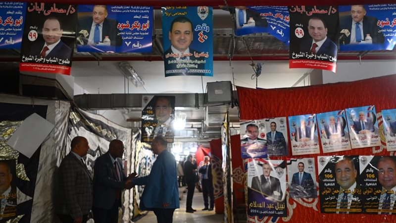 انتخابات المحامين،