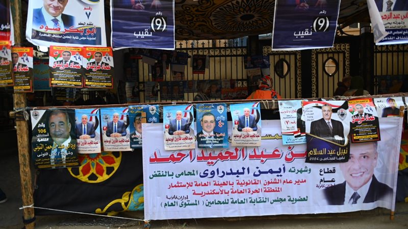 إنتخابات المحامين